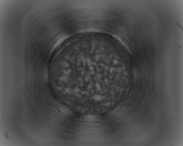 X0000093141266200710171321