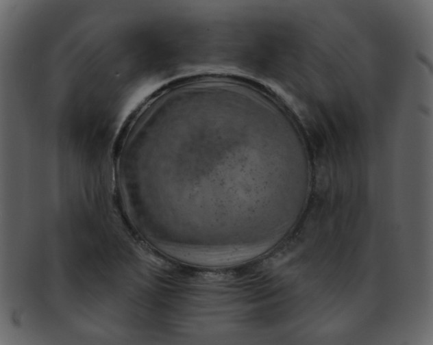 X0000093141271200710171321