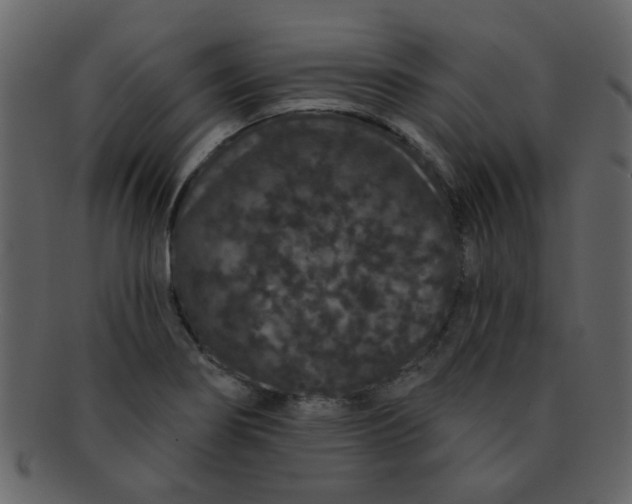 X0000093141274200710171321