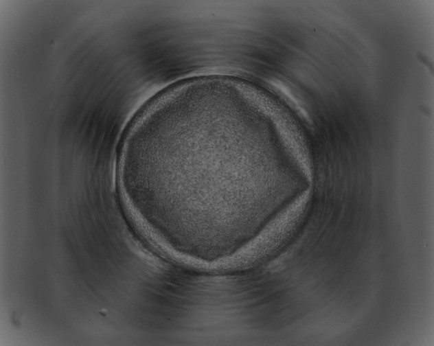 X0000093141276200710171321