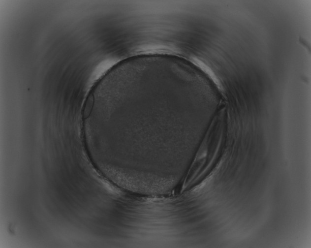 X0000093141277200710171321