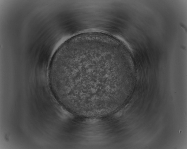 X0000093141278200710171321