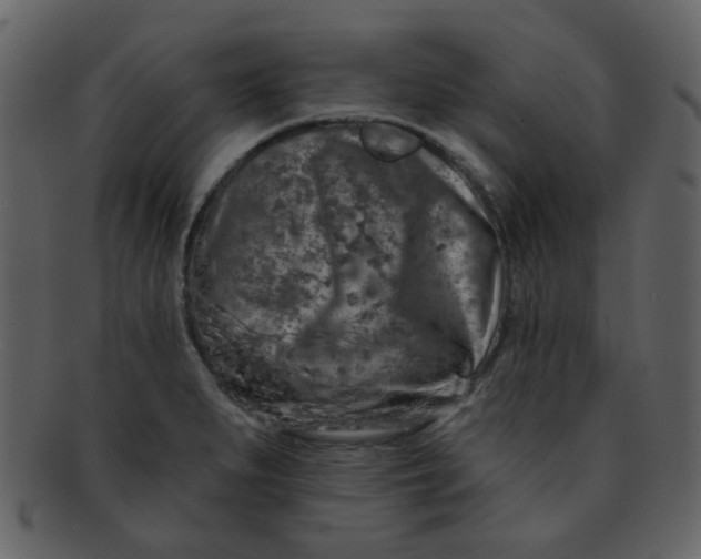 X0000093141279200710171321