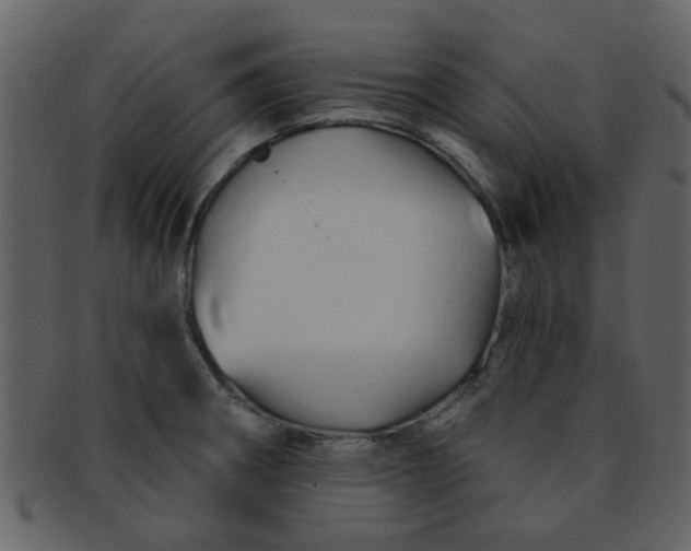 X0000093141282200710171321