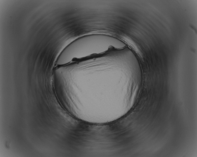 X0000093141284200710171321