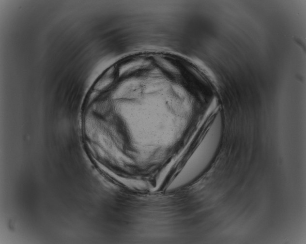 X0000093141287200710171321