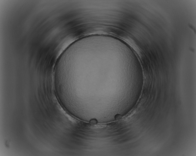 X0000093141290200710171321