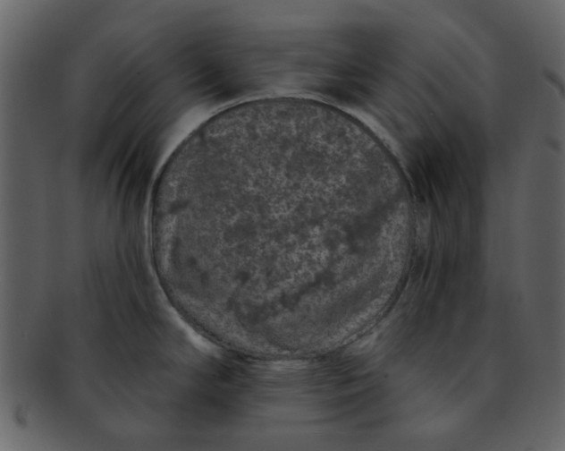 X0000093141294200710171321