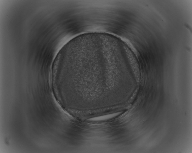 X0000093141295200710171321