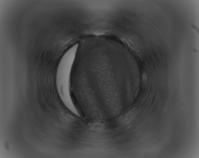 X0000093141300200710171320