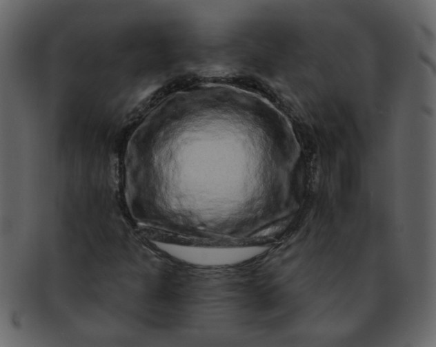 X0000093141301200710171320