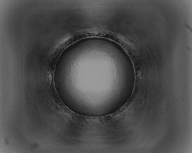 X0000093141302200710171320