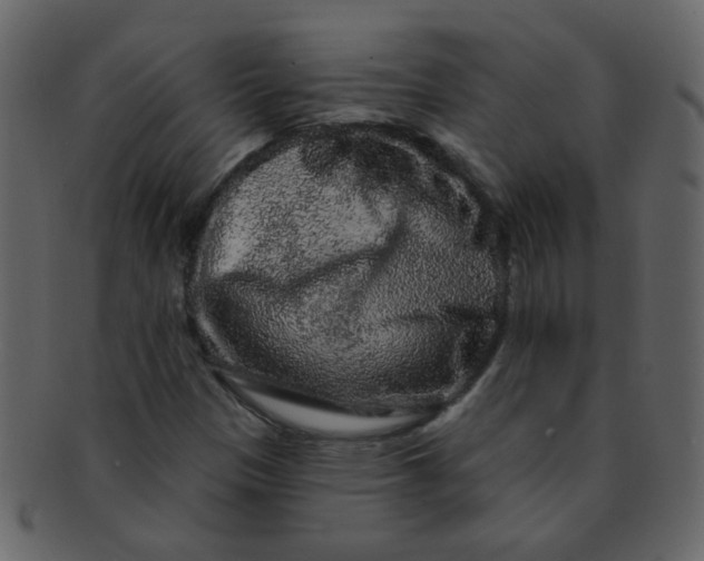 X0000093141305200710171320