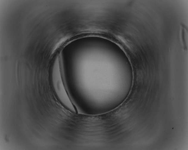 X0000093141307200710171320