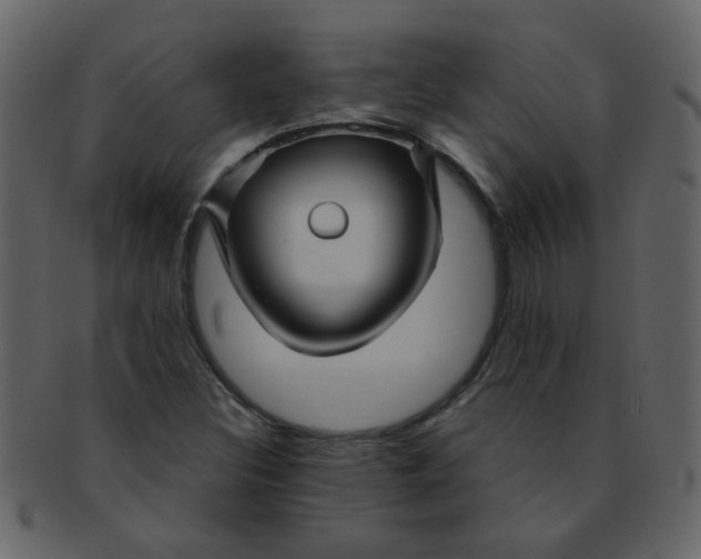 X0000093141308200710171320