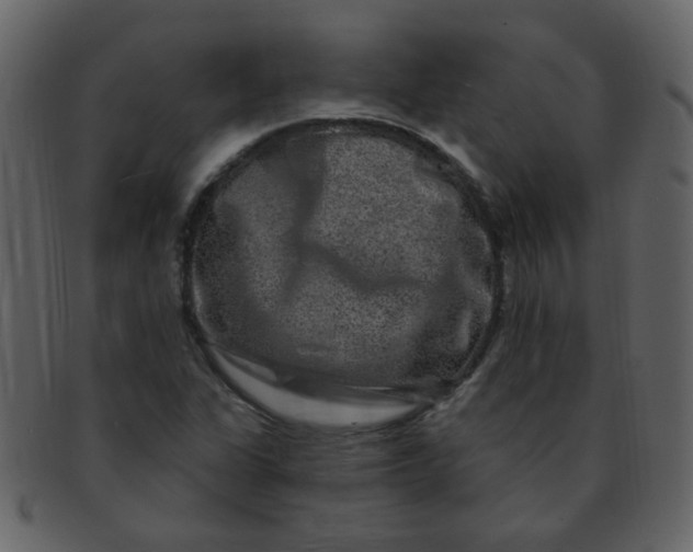 X0000093141311200710171320