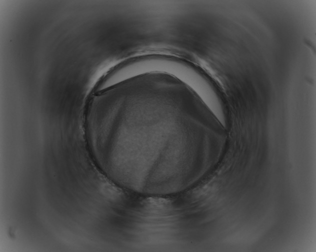 X0000093141312200710171320