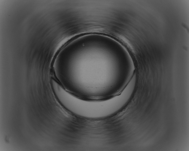 X0000093141324200710171320