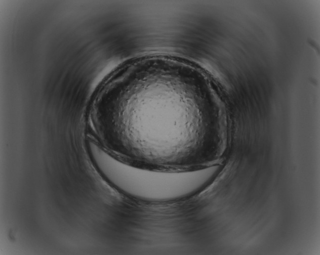 X0000093141325200710171320