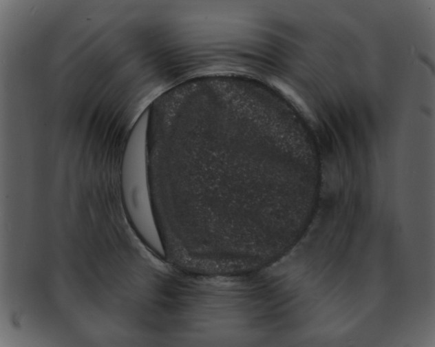 X0000093141329200710171321