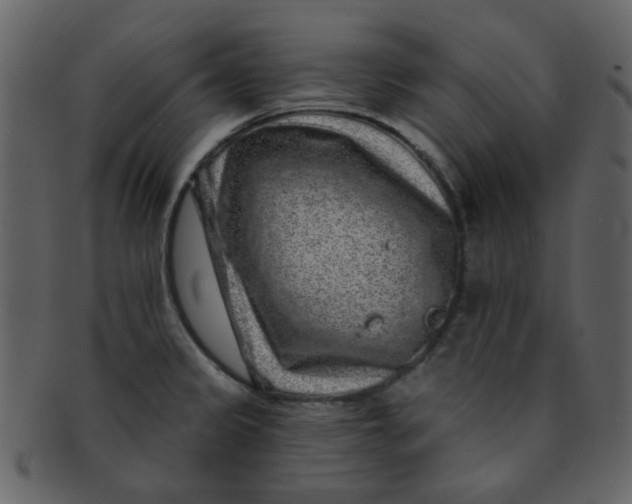 X0000093141333200710171321