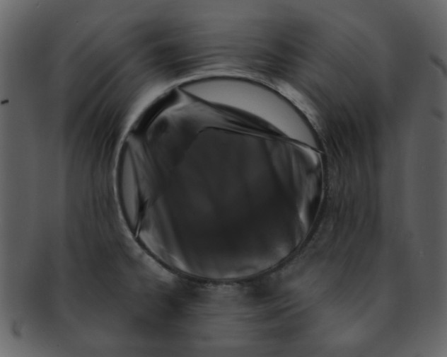 X0000093141334200710171321