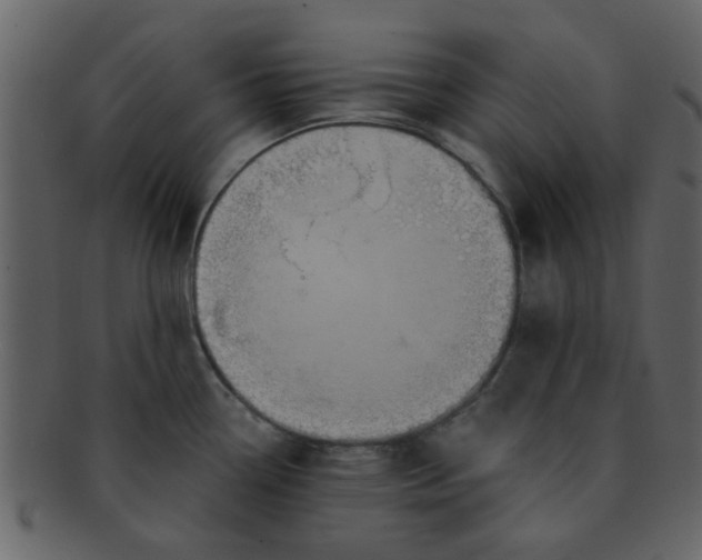 X0000093141338200710171321