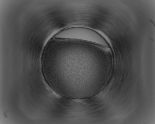 X0000093141341200710171321