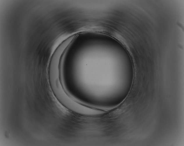 X0000093141344200710171321