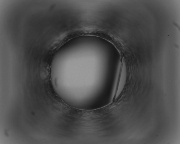 X0000093141349200710171320