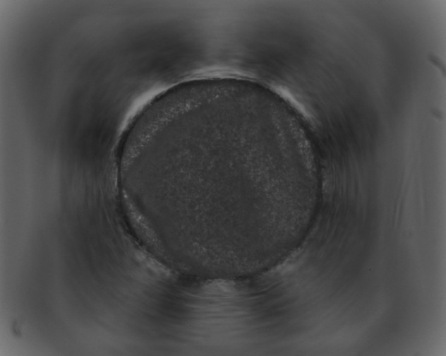 X0000093141358200710171320