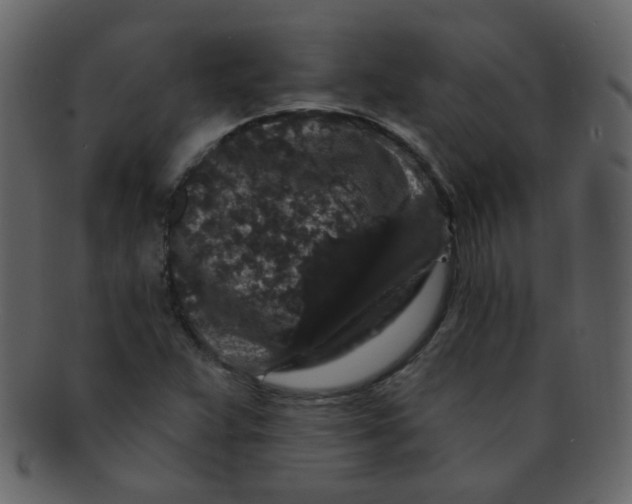 X0000093141359200710171320