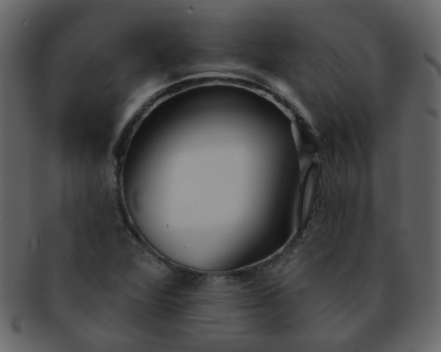 X0000093141360200710171320