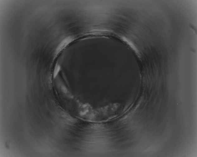 X0000093141362200710171320