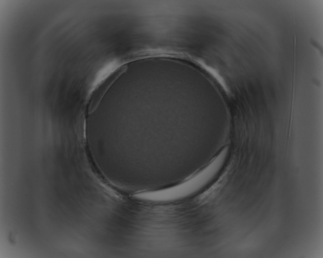 X0000093141365200710171320