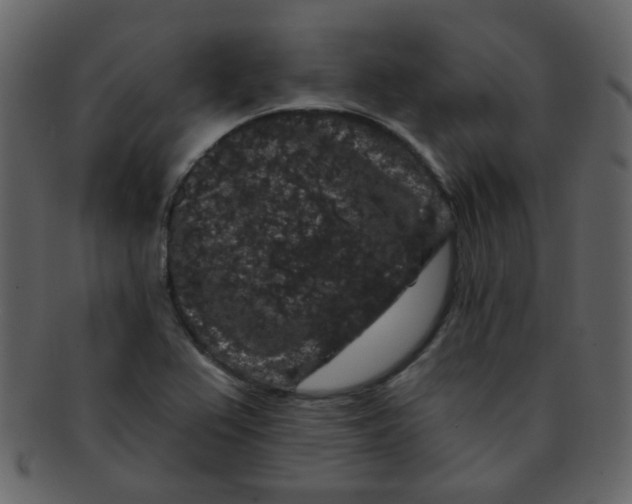 X0000093141367200710171320