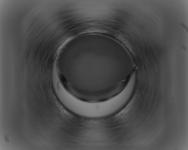 X0000093141369200710171320