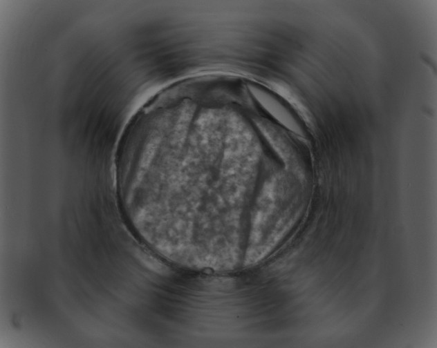 X0000093141372200710171320