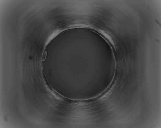 X0000093141373200710171320