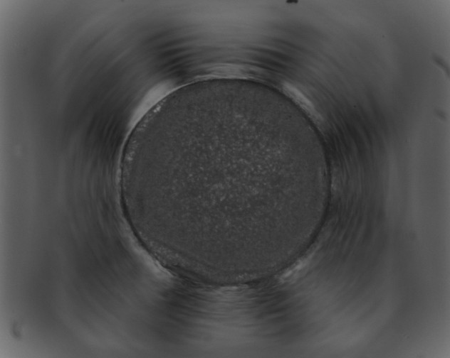 X0000093141378200710171320