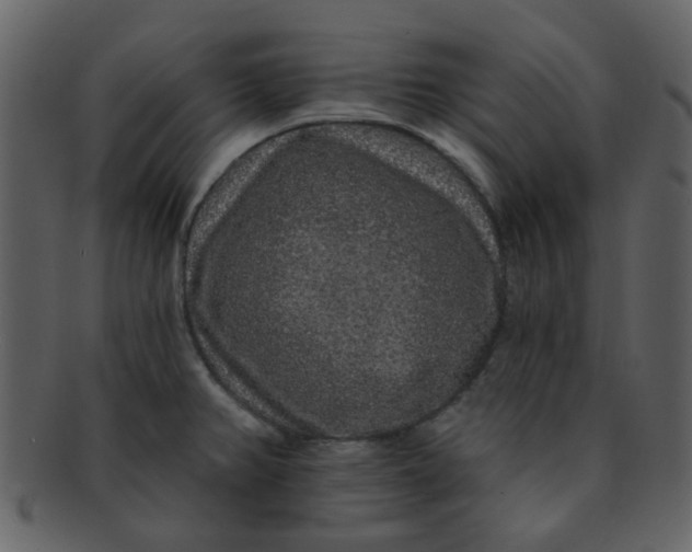 X0000093141382200710171320