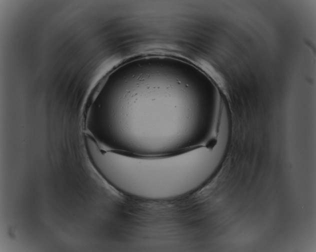 X0000093141384200710171319