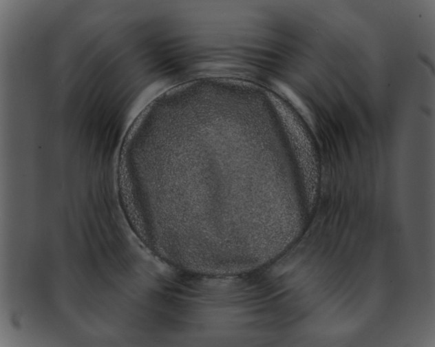 X0000093141386200710171319