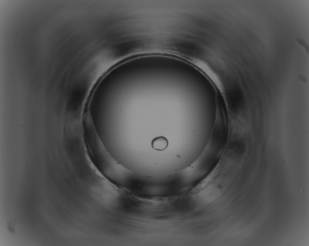 X0000093141388200710171319