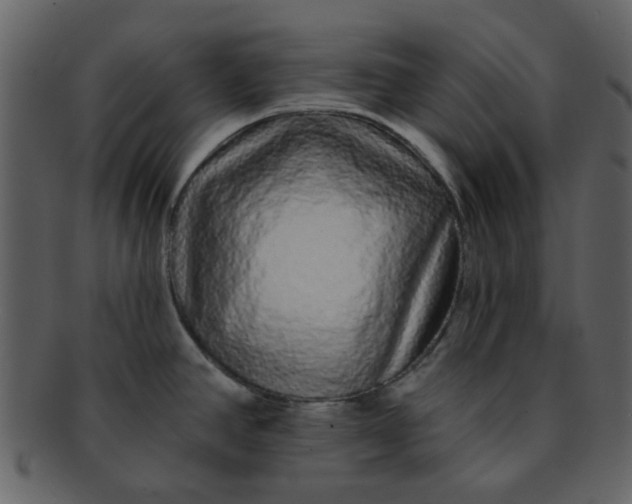 X0000093141390200710171319