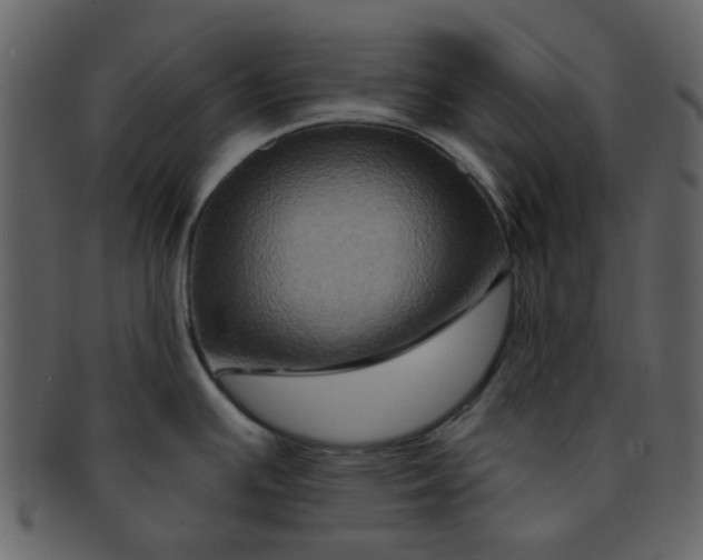 X0000093141391200710171319