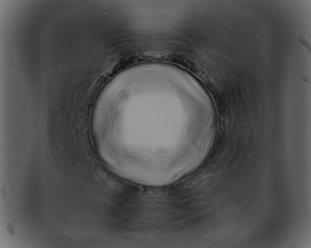 X0000093141393200710171319