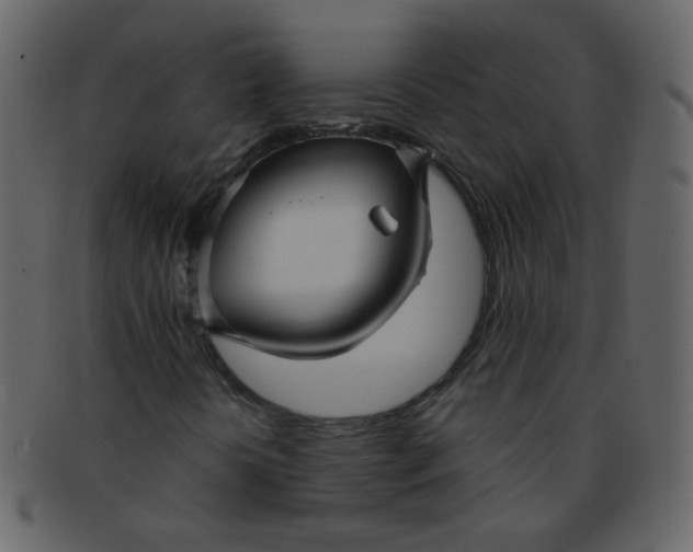 X0000093141394200710171319