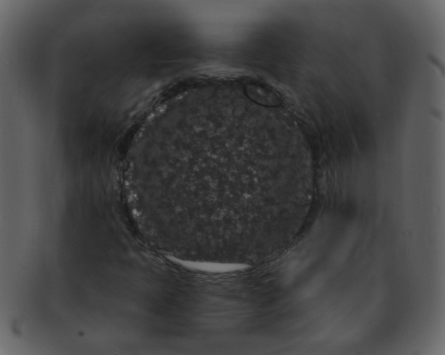 X0000093141397200710171319