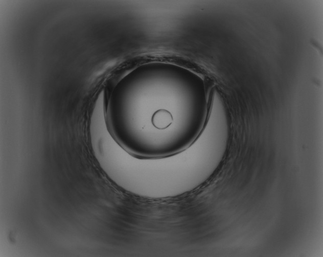 X0000093141398200710171319